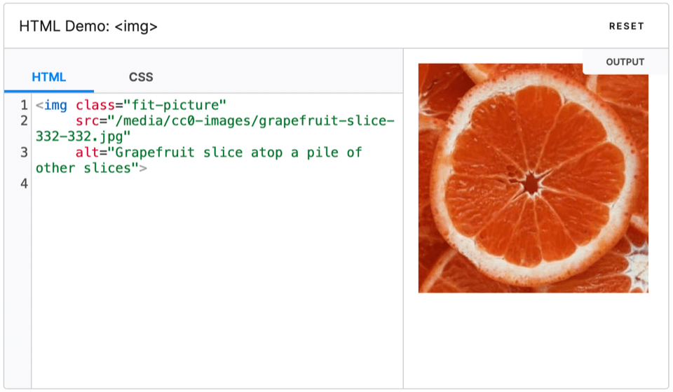 An HTML image tag with a photo of a grapefruit slice